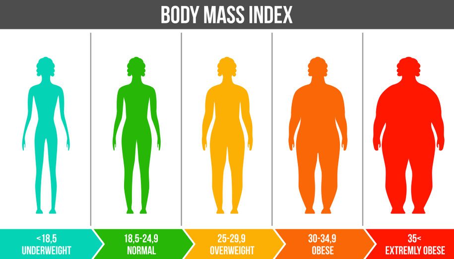 Body Mass Index