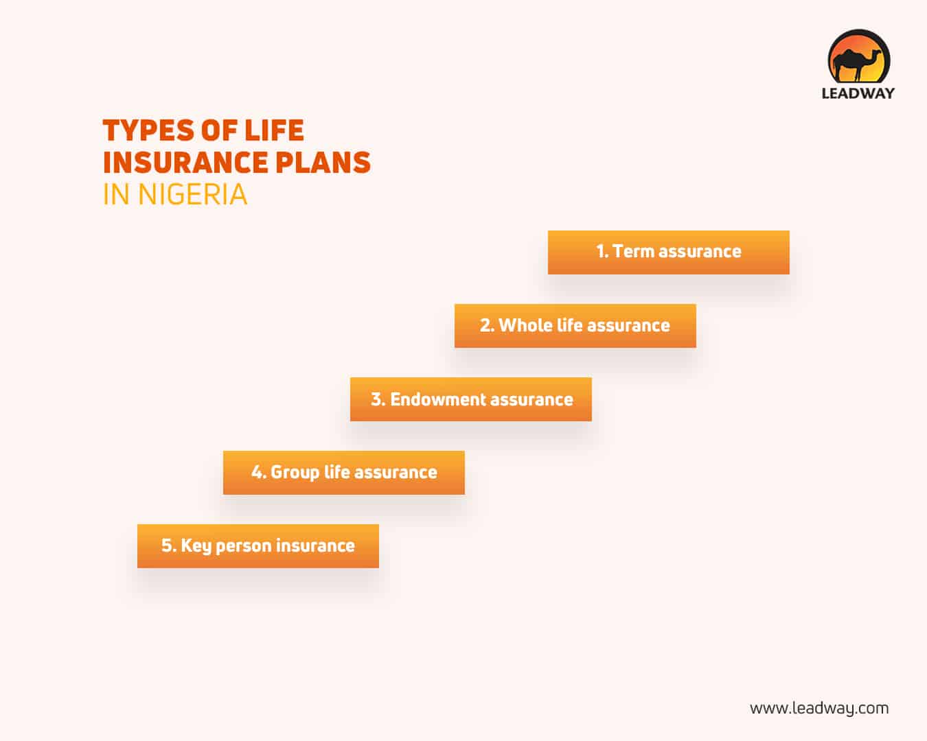 Types of life insurance plans in Nigeria infographic